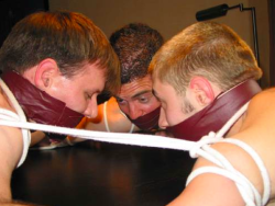 humiliatedguyz:A very hot image from male bondage pioneer Bob Wingate. This is a board meeting that I want to attend. I hear it’s mandatory. MPPPHH. 