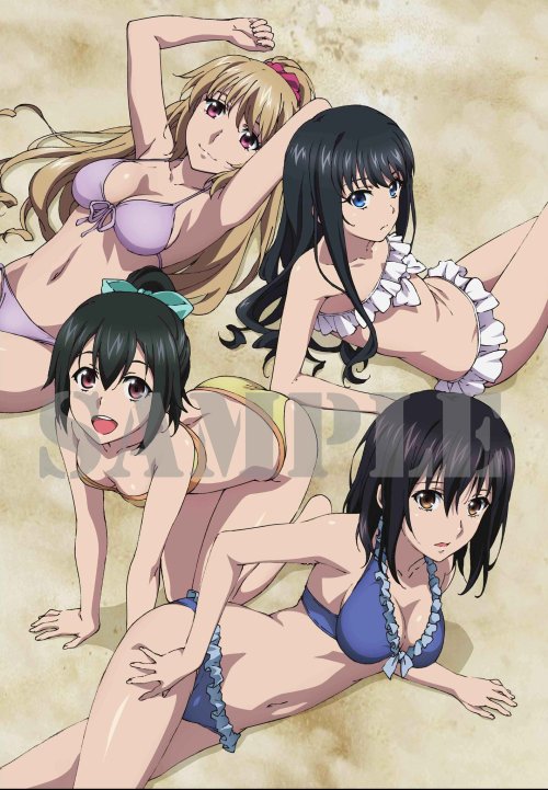 ipscell:http://www.strike-the-blood.com/#/bluray