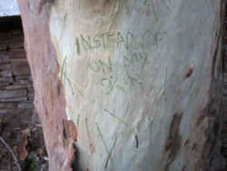 sucrifice:  I carve stuff on trees to get my mind off things 