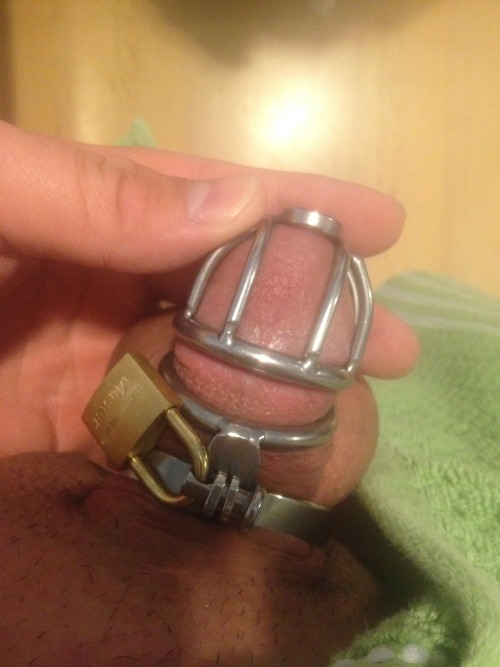 onceuponanorgasm: my little slave boy locked up for 30 days in his chastity cage, look how cute his 