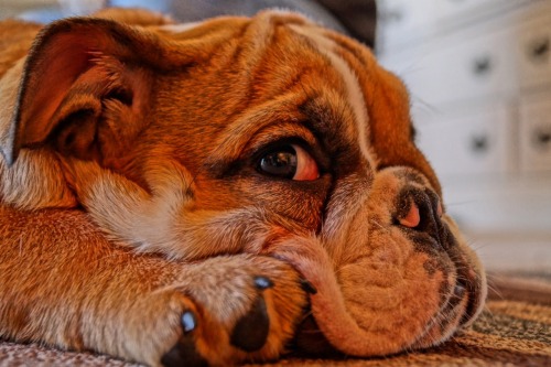 So many colors and so many wrinkles!