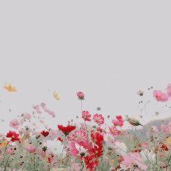 Paradise.