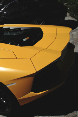 artoftheautomobile:  Lamborghini Aventador via Romain Drapi
