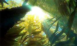disneydaily: DisneyDaily’s Top 10 Animated Films: 8/10 Finding Dory A friend of