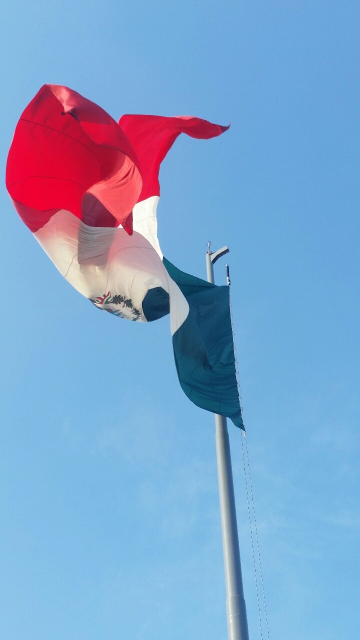 fruta-y-menta:  ¡Viva México!