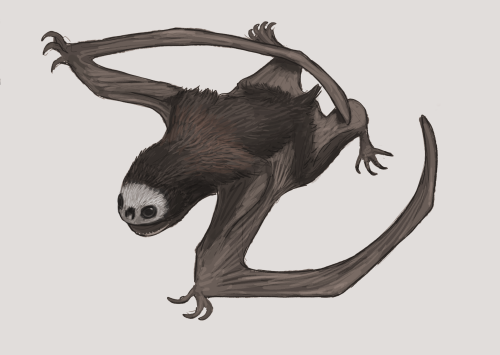 Regular Reminder That Larger Anurognathids Were Absolute Goblins, While The Smaller Species Were Cute