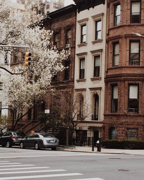 Between Madison & Park By Nycbambi Http://ift.tt/1V37pNJ
