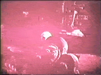 blog-anglophonic:  Early 1970s 8MM souvenir film from Disney’s Haunted Mansion