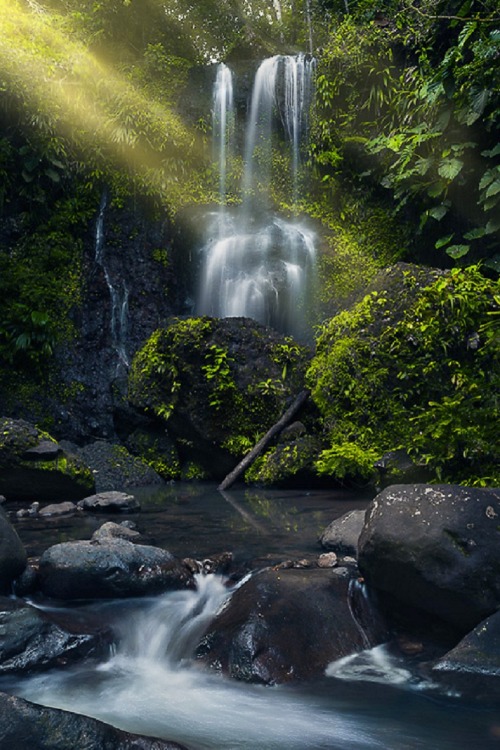 sublim-ature:GuadeloupeStefan Hefele