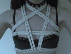 kinkycurls-strawberryfreckles:  Tiny titties and harnesses :}