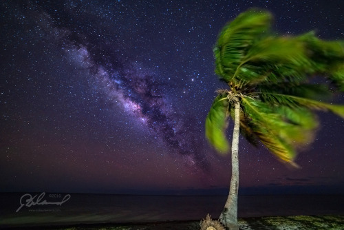 [OC] Milky Way Over Little Duck Key - Florida Keys [1619x1080]