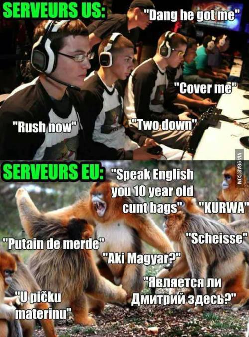 swedishrefugee:  triggered tbh