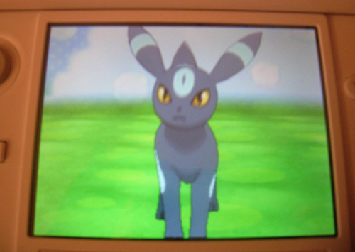 i want you guys to meet Maxxie and Jun !! 2 of my shiny pokemon from my platinum