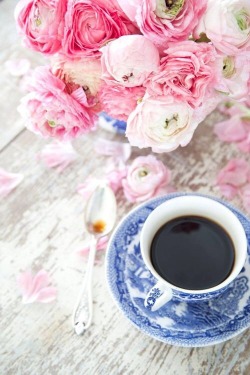 mydarkangel2pls:  johnspartan1974:  petty-it-girl-in-pink:Image via We Heart It http://weheartit.com/s/AooBDgOZ #beautiful #coffee #flores #flowers #primavera #spring #cute Buongiorno….  hptals