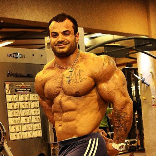 myfavoritemusclemen:  Hesam Aliakbar