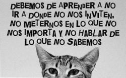 Excelente Consejo ((: