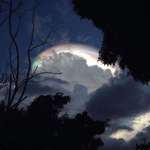 mountain-nonbeliever:The Glow Cloud Is (Was) RealAn iridescent, multi-hued cloud phenomenon was rece