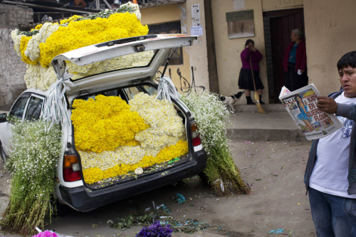 fotojournalismus:A flower vendor reads a tabloid as he waits for customers near the Nueva Esperanza 