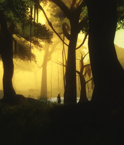 erikatschinkel:Early morning mushroom picking in Morrowind