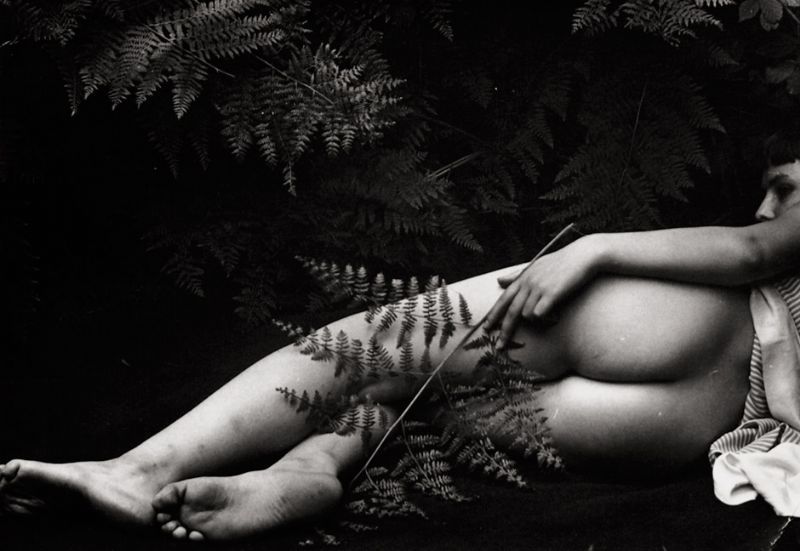 vincekris:   Willy Zielke  