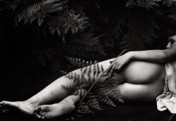 Vincekris:   Willy Zielke  