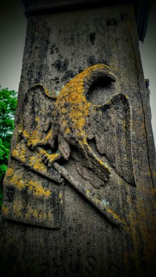 swforester:  A beautiful eagle perched on a flag. Found on a Civil War grave. 2016 