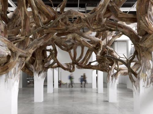 odditiesoflife: Trees Burst Through Gallery Walls and CeilingsBrazilian artist Henrique Oliveira&rsq