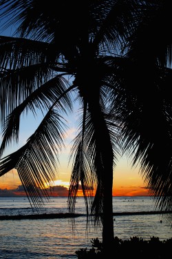 breathtakingdestinations:  Waikiki Beach - Honolulu - Hawaii - USA (by Prayitno) 