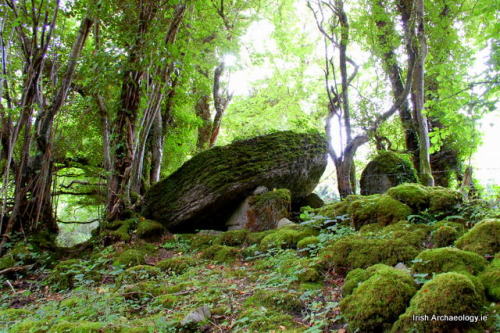 I made an impromptu visit to the small Neolithic portal tomb at Meehambee, Co. Roscommon earlier today. Located in a sma