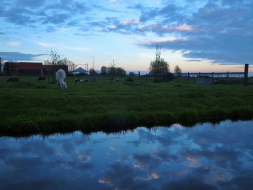 s-a-o-r-s-a:  Just returned from a short trip to the Netherlands with @caledonia19 :)