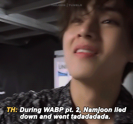 the audacity gif the audacity gif