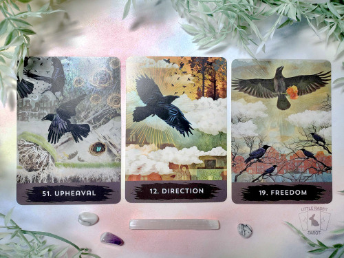 A photo of three cards from the Urban Crow Oracle deck: Upheaval, Direction, and Freedom.