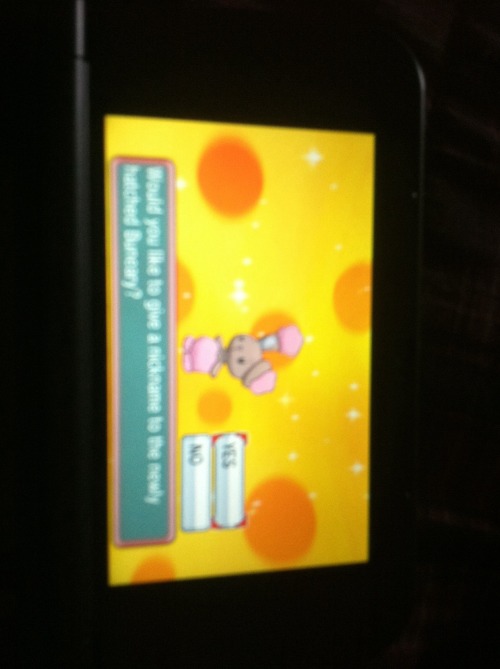 @toxiee I FINALLY HATCHED ONE what do you want me to name HIM?