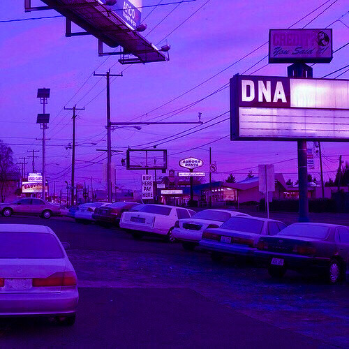 Featured image of post Soft Vintage Purple Aesthetic - Neon aesthetic, pink color, colored background, water, no people.