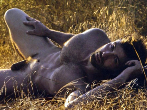 El Paraíso de Adán (+18)