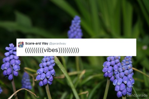 iusedtocryonhereaboutmylife:Gerard Way and vibes