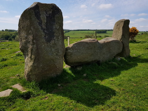 Strichen Recumbent Stone Circle, Strichen, Scotland, 29.5.18. This recumbent circle has been displac