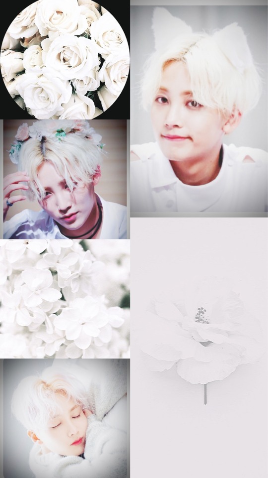 Belated Happy Birthday To Seventeena Angel, Jeonghan!