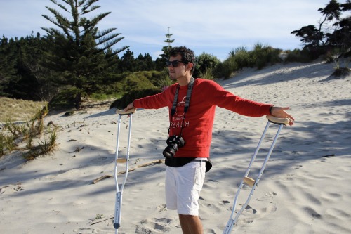 Te Arai Beach, about an hour north of Auckland, NZ. White sands and pine forests surrounded by typic