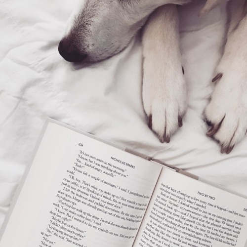 siriusly-bookish:This girl continues to be the best reading buddy around
