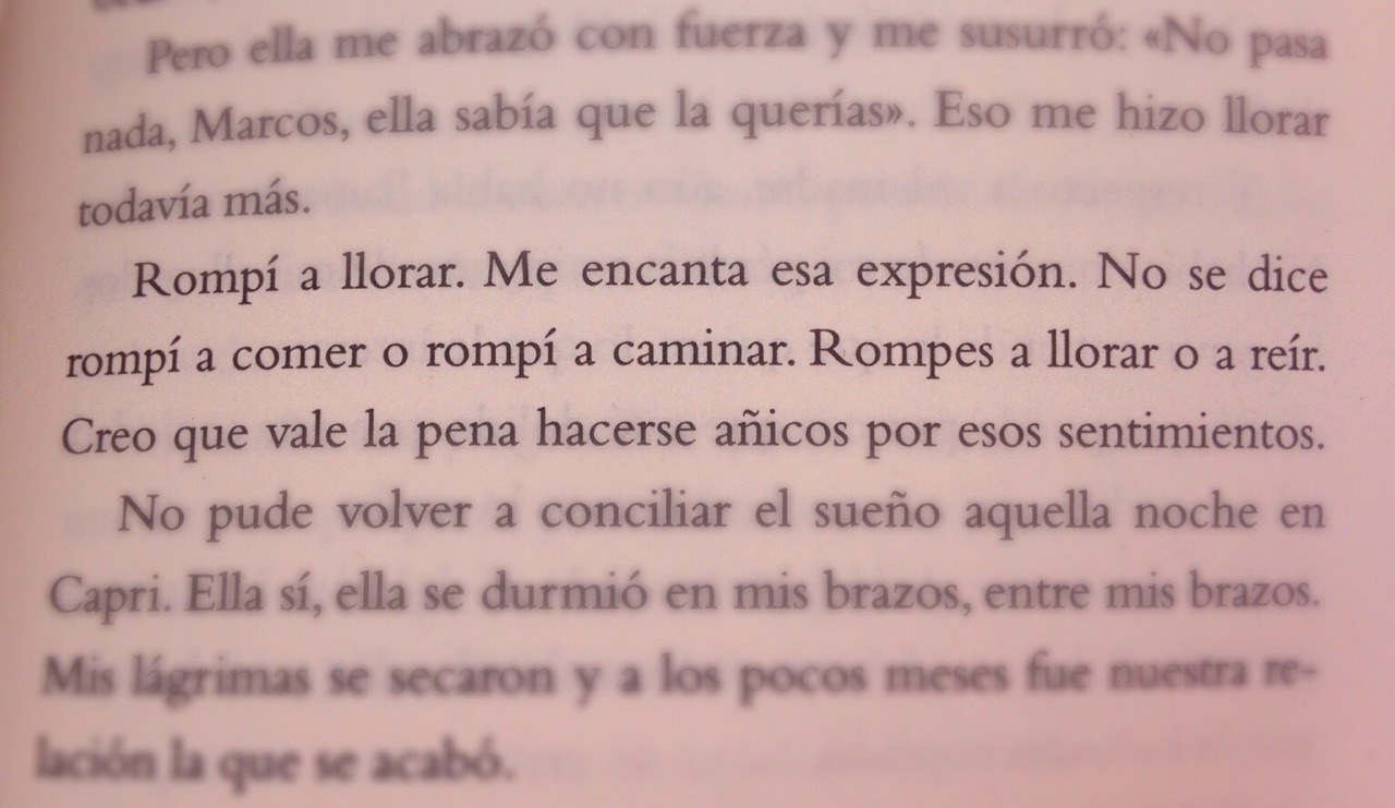 «Rompí a llorar. Me encanta esa expresión. No se dice rompí a comer o rompí a caminar. Rompes a llorar o a reír. Creo que vale la pena hacerse añicos por esos sentimientos.»
Todo lo que podríamos haber sido tú y yo si no hubiéramos sido tú y...