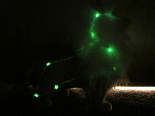 sewgoods: more shots of the lion with his glow in the dark constellation embroidery! here’s th