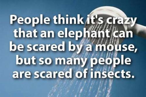 pleatedjeans:20 New Shower Thoughts That Are Absolutely Worth Contemplating