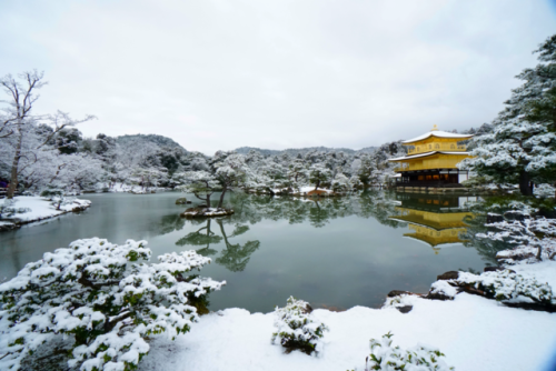 nihongo: chitaka45: 京都 金閣寺 ❄️雪景色❄️2018年1月14日 kyoto kinkakuji temple 14.1.2018  まるで絵葉書のような、美しい雪の金閣寺。寒