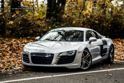 automotivated:  V8-R8 (by CullenCheung)