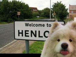 cartoon-dog:HENLO there  