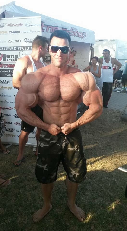 chrisfront:  barelederratte:  SH NAZZIMUSSKELSSAU   He would never touch a fag like