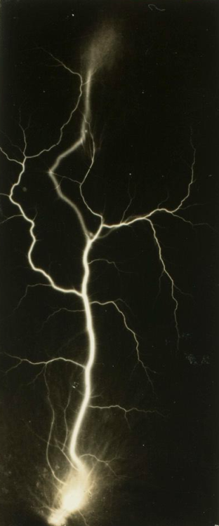 dame-de-pique: William N. Jennings, c.1885 Vertical discharge with dark branches Ribbon Lightning, N