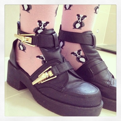 georginatattoo:  Looking like an almighty dork but I do not care because I have Badger socks 💜 