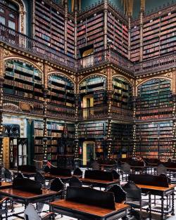 everything-thing:  Royal Portuguese Cabinet of Reading,  Rio de Janeiro, Rio de Janeiro by elensham